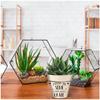 Les Trésors De Lily [A2059] - 'Messages' Black Beige Bamboo Planter (When We Sow It Is for Life) -  14x12cm