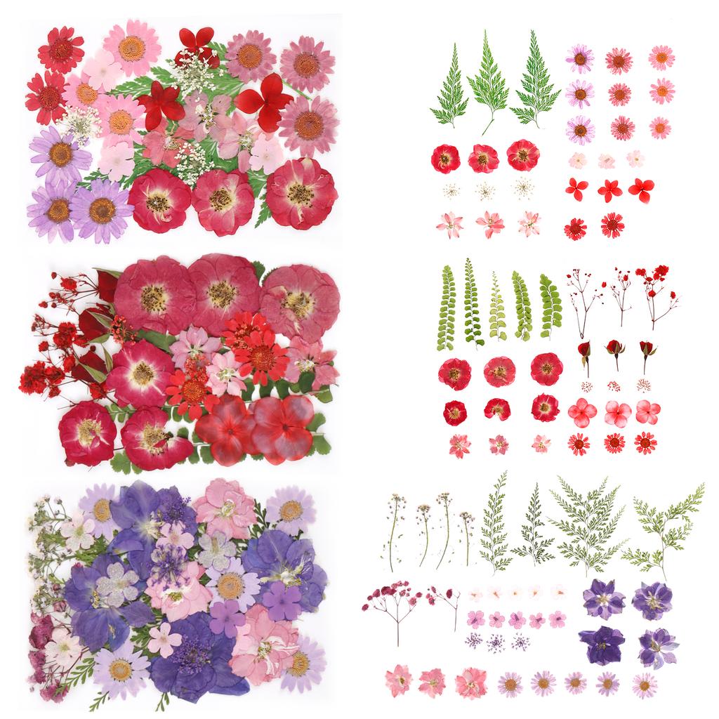 Dried Flowers Diy Pressed Flowers Stickers 104/96/94Pcs Real Natural Pressing Floral Leaves For DIY Making Art Decoration Home