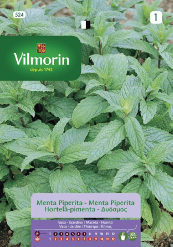 Semințe de MENTĂ PIPERITĂ