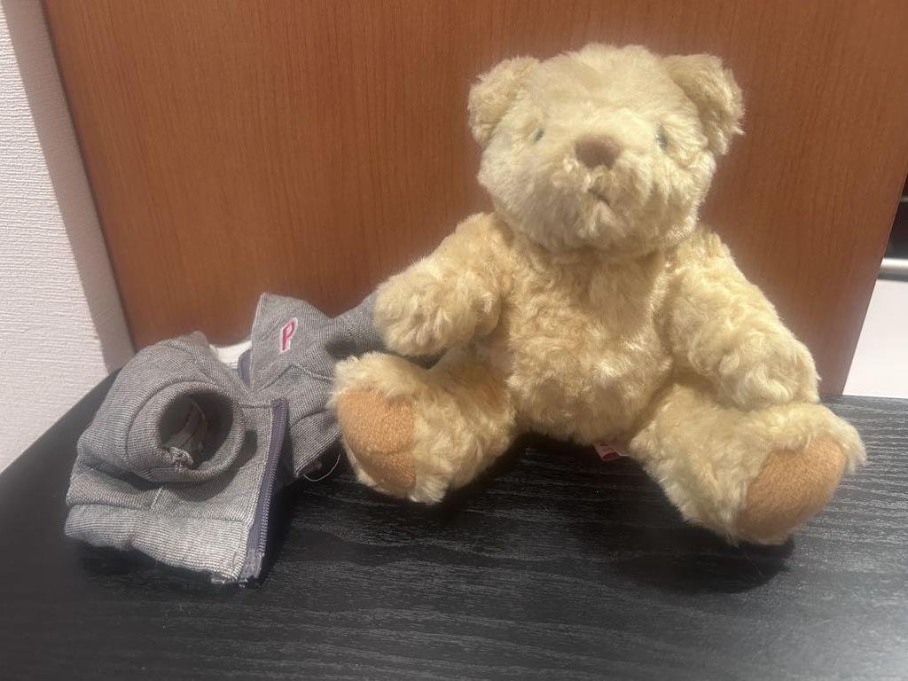 [USED] shaly bear teddy bear detachable hoodie