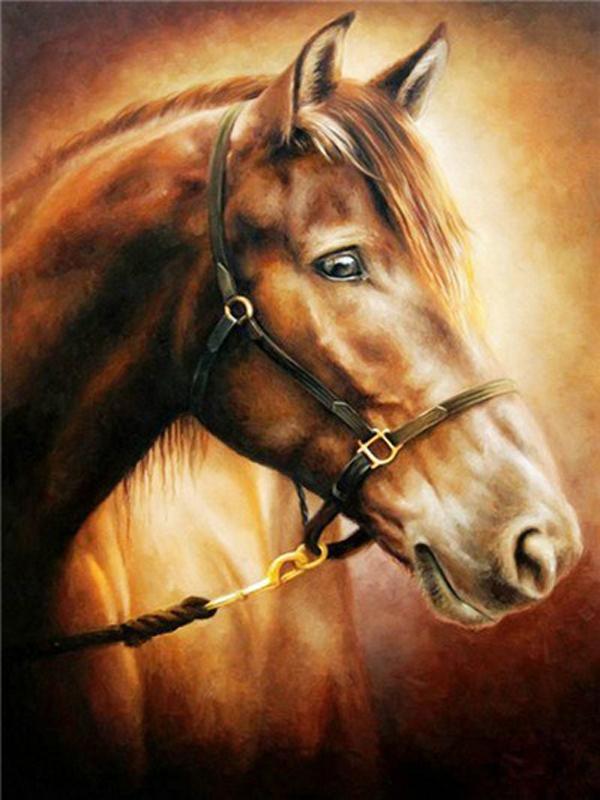 DIY Diamond Painting Animal Cross Stitch Full Round Drill  Steed Painting Embroidery Craft Home Decoration