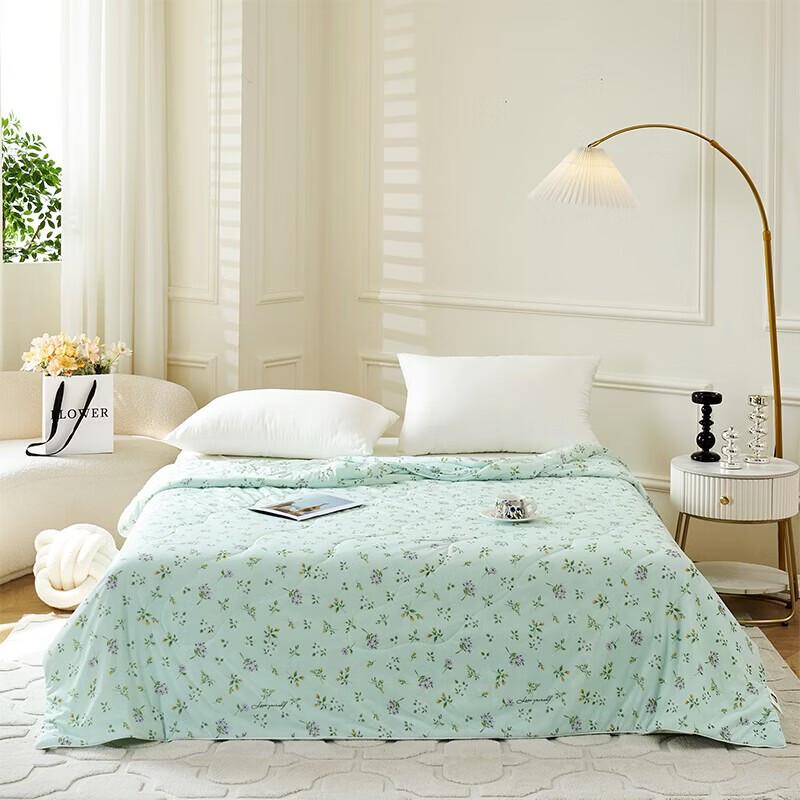 ROMROL Herbal Scent Cooling Summer Quilt