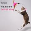 Interactive Feather Cat Teaser with Bell & Collar