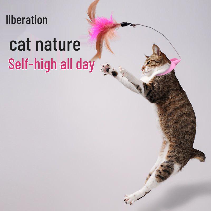 Interactive Feather Cat Teaser with Bell & Collar