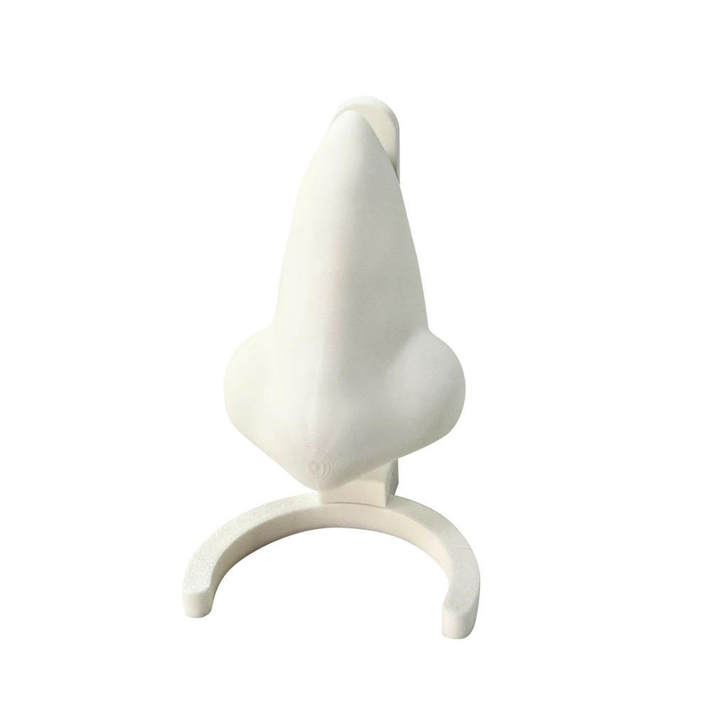 3D Printed Glasses Frame Nose Shape Glasses Frame Home Decoration Creative Personality Desktop Decoration