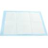Thickened Leak-Proof Pet Urine Pad with Strong Absorption and Deodorant for Dogs