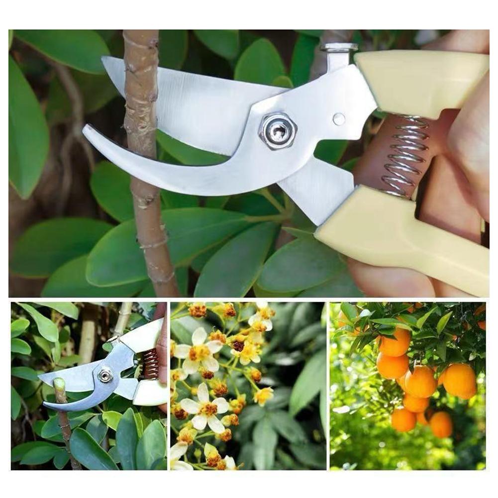 Pruners Stainless Steel Garden Shears Easy To Clean