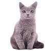 Adorable 3D Cat Plush Doll Sofa Cushion for Home Decor and Gifts