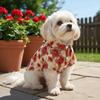 Soft Fabric Cat T-Shirts Breathable Summer Dog Clothes Fashion Dog Shirt  Outdoor Activities