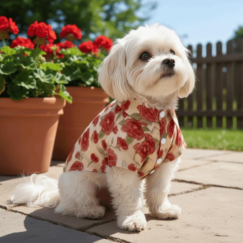 Soft Fabric Cat T-Shirts Breathable Summer Dog Clothes Fashion Dog Shirt Outdoor Activities
