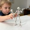 Acțiune Schelet Arme Umane Schelet Amuzant Articulat cu Figurină Schelet Magnetic Articulat Figurină pentru Colecționari