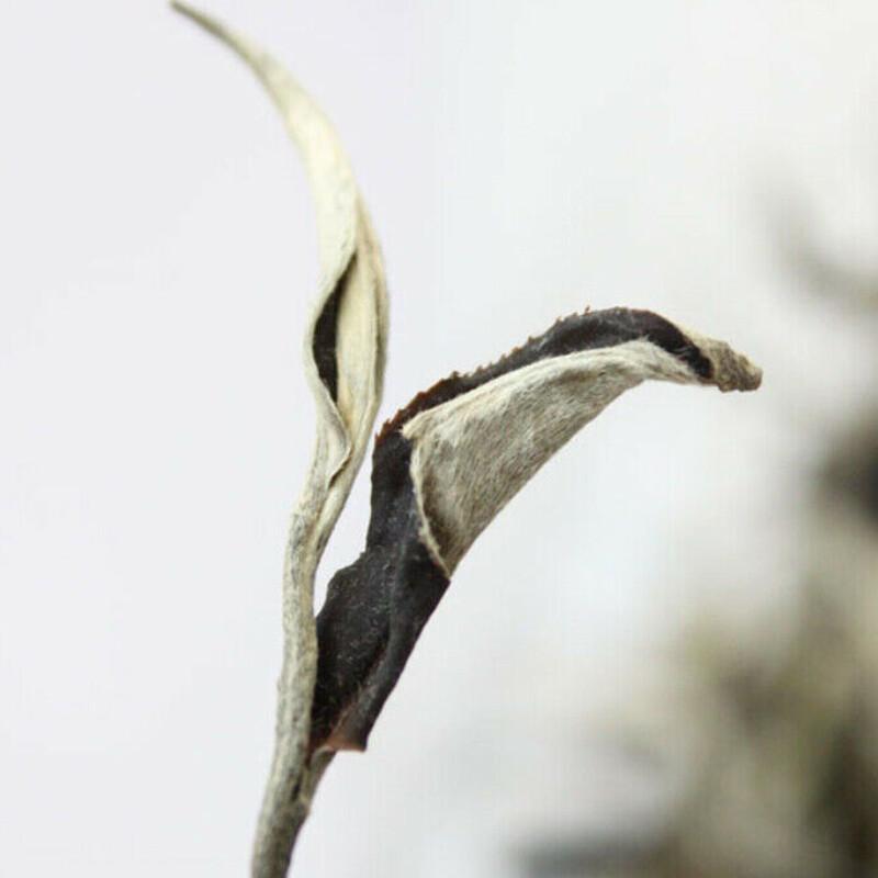 Yunnan Jinggu Moonlight White Raw Pu Erh Tea Buds Loose Leaf 100g Premium