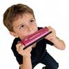 Premium 10 Hole Harmonica with Metal and ABS Resin Comb Ensures Bright and Crisp Notes Travel Musical Instrument