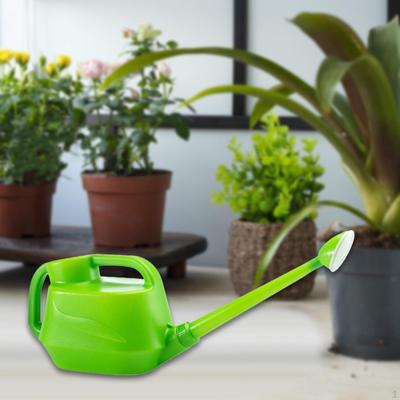 Gießkanne für Zimmerpflanzen, langer Ausguss 8 l