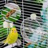 Cage Bird Water Feeder Automatic Drinking Device Sturdy Bottle for Parrots and Aviary Birds Hydration