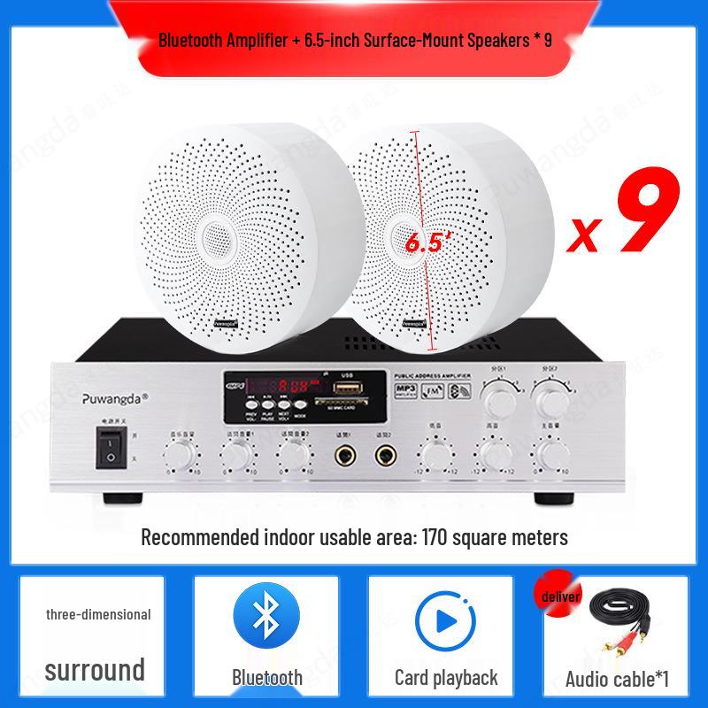 Wireless Indoor Ceiling Speaker with Wall-Mountable Hanging System
