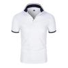 2022 Men's Summer Solid Color Polo Shirt - Trendy Sporty Short Sleeve Top