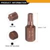 Torx Screwdriver Bit Hex Shank 30mm S2 Steel Security Tamper Proof Head Hex Screw Driver Bits T20 T25 T27 T30 T35 T40 T45 T50