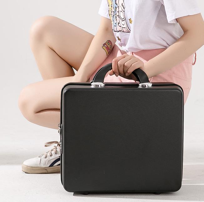 Internet Celebrity Daisy Suitcase Women's Large Capacity Makeup Bag 16 Inch Suitcase Travel Storage Box Portable Gift