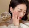 925 Silver Needle Korean Fashion Crystal Flower Earrings For Women Jewelry Trending New Luxury Zircon Flowers Stud Earrings
