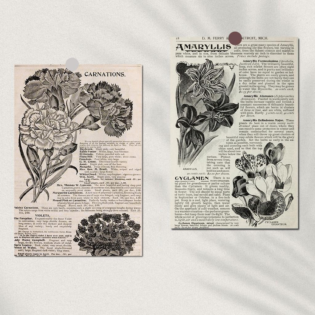 10PCS Retro English Flowers Sticker Poster Nostalgia Wall Coffee Laptop Gift Room Luggage Skateboard For Wall Decal