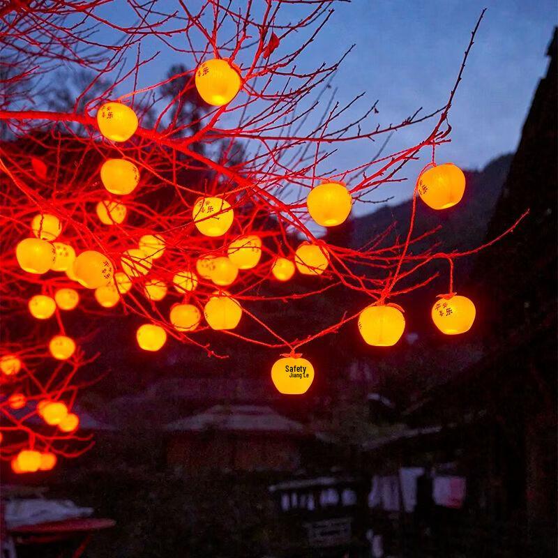 Solar Persimmon and Apple Decorative String Lights