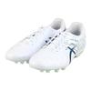 Asics Ds Light Ag Round Toe Lace-Up Ag (Rubber Short Stud) Soccer Shoes Men Soccer Shoes White Blue 1103A032-107