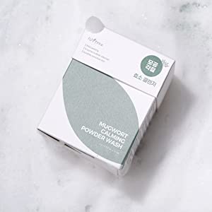 ISNTREE MUGWORT CALMING POWDER WASH 1g 25ea - Face Wash Powder