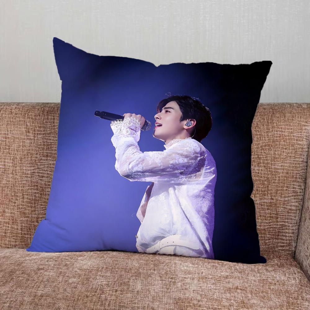 Singer Cha E-Eun Woo Pillow Case For Home Bedroom Car Office Decoration Living Room Sofa Cushion Cover Suitable