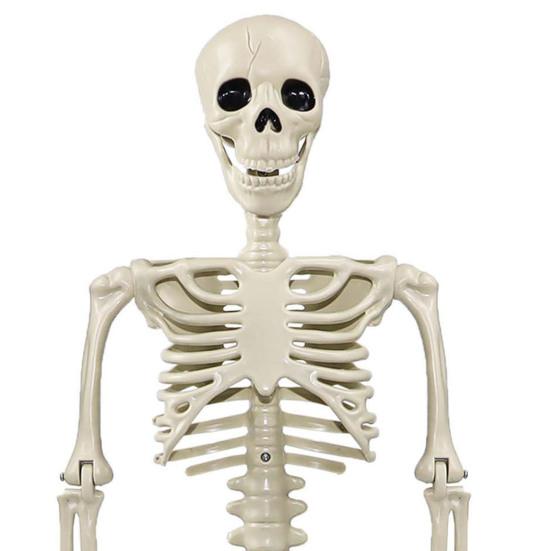 36" Halloween Posable Skeletons Full Body Plastic Human Bone Model with Movable Joints for Yard Haunted House Indoor Outdoor Decor