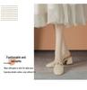 Spring/Summer 2025 Women's Pointed-Toe Mary Jane Sandals - French Fairy Style, Retro Chunky Mid-Heel Evening Shoes
