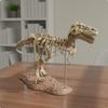 3D Dinosaur Skeleton Model Large Size Tyrannosaurus Rex Bone Assembly