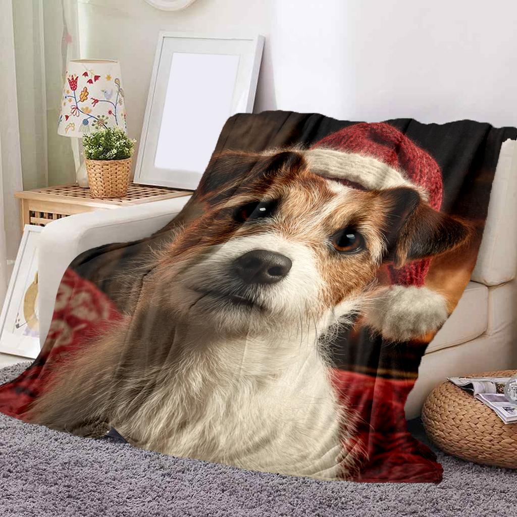 1 ks Flanelová deka s kresleným potiskem, Vysoce kvalitní, Pohodlná pro všechna roční období, Domácí dekorace, Teplo a pohodlí, Perfektní jako vánoční dárek k narozeninám