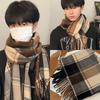 Plush Winter Cashmere Scarves Tassel Long Shawl Simple Plaid Wool Scarf  Student