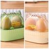 Timed Electric Egg Boiler Cat Egg Heater Portable Egg Cooker  Dormitory