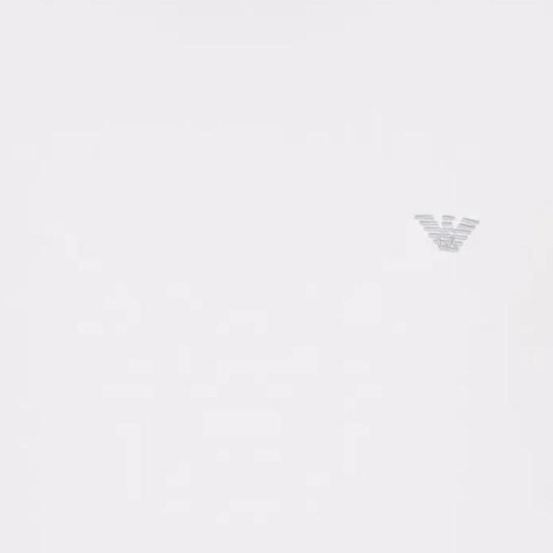 Emporio Armani Ss24 Solid Color Letter Logo Embroidered Crew Neck Casual Long Sleeve T-Shirt Men tops White 111984-4F511-00010