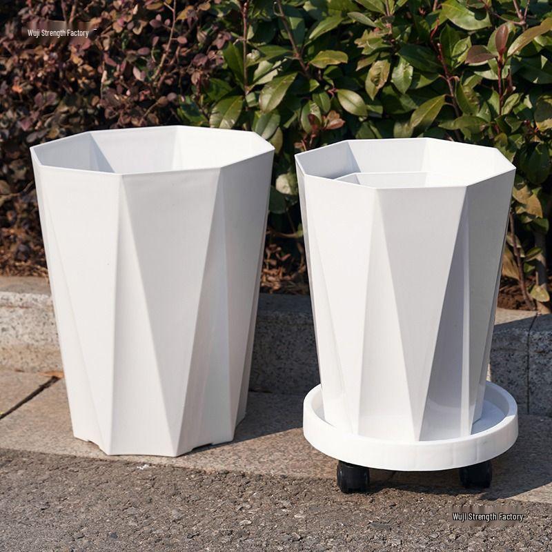 Large Plastic Flower Pot for Bonsai & Indoor Plants - Money Tree, Dragon Blood Tree, Bird of Paradise