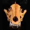 Artistic Wolf Skull Sculpture Resins Construction Animal Head Skeleton Replicas for Office Desk Decors Museums Display