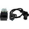 Ignition Coil + CDI Box for TRX250X FourTrax 250 1987 1988 1989 1990 1991 1992