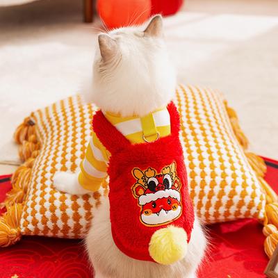 Katter – Kattkläder