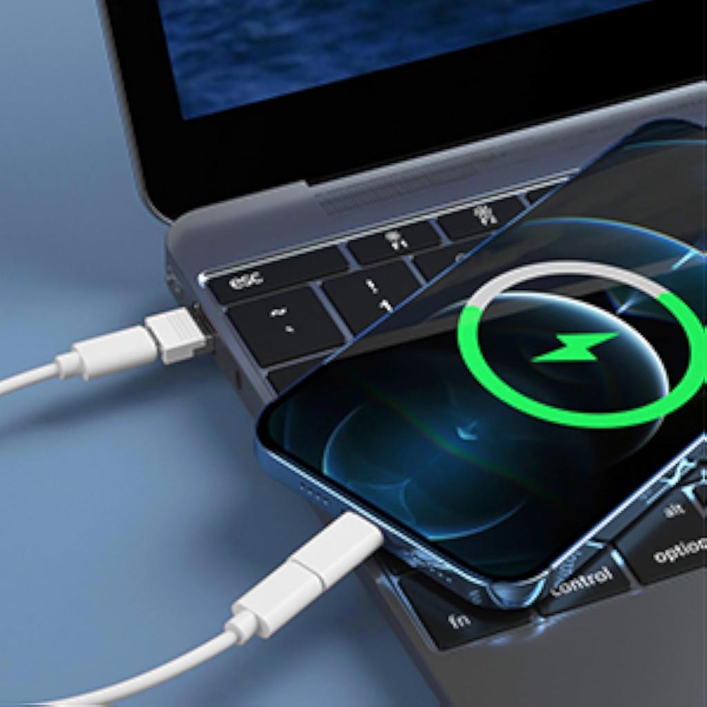 USB-C Travel Adapter Kit for IPhone, Pixel & Galaxy: USB-A to C, Micro-USB to C, Type-C to Lightning, Short USB-C Cable, OTG, Mirror Case