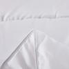 Hotel Style Soy Fibre Goose Down Duvet Bed Velvet Comforter Soft Winter Duvet Very Warm  Quilts Blanket Hotel