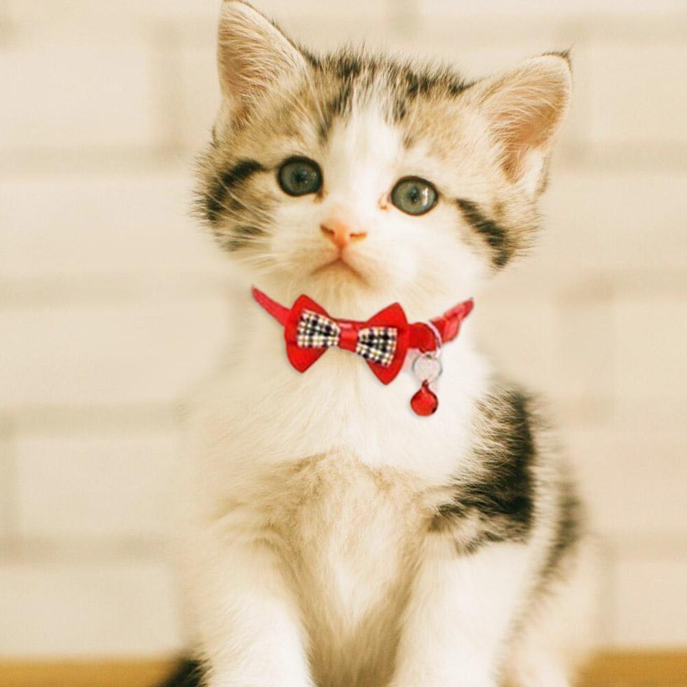 Cotton Cat Collar Puppy Bow Tie Kitten Safety Buckle Collar Adjustable Quick Release Pet Supplies Dog Collar Cat Accessories