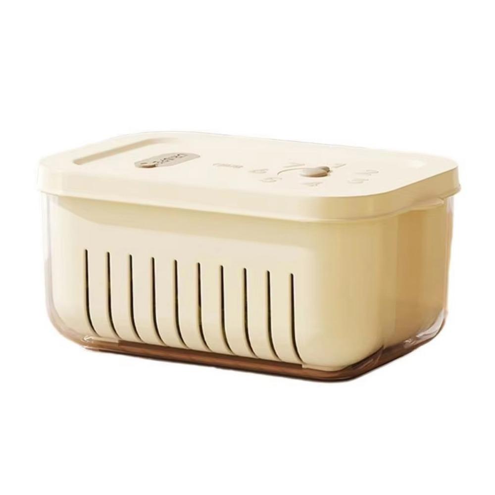 Record Time Vegetable Fruit Crisper Case Fresh-keeping Vegetable Washing Basin  Fridge