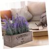 ARTIBETTER 1PC Purple Lavender Artificial Faux Fern Stem Plastic Model Household Office Desk Decor Plants Decor House Plants Artificial Faux Fern