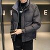 Men's Wash-Free Down Jacket - Thick, Warm Stand-Up Collar Winter Coat - Youth Fashion Casual Versatile Men's Wear