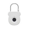 Smart Fingerprint Hanging Luggage Household Lock Student Cabinet Gym Apartment Protective Fingerprint Lock