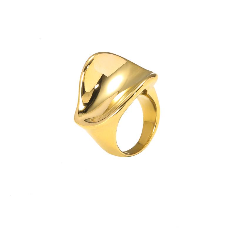 INSSGG Titanium Steel Irregular Curved Ring - European & American Style, High-End Niche Design with Smooth Surface.