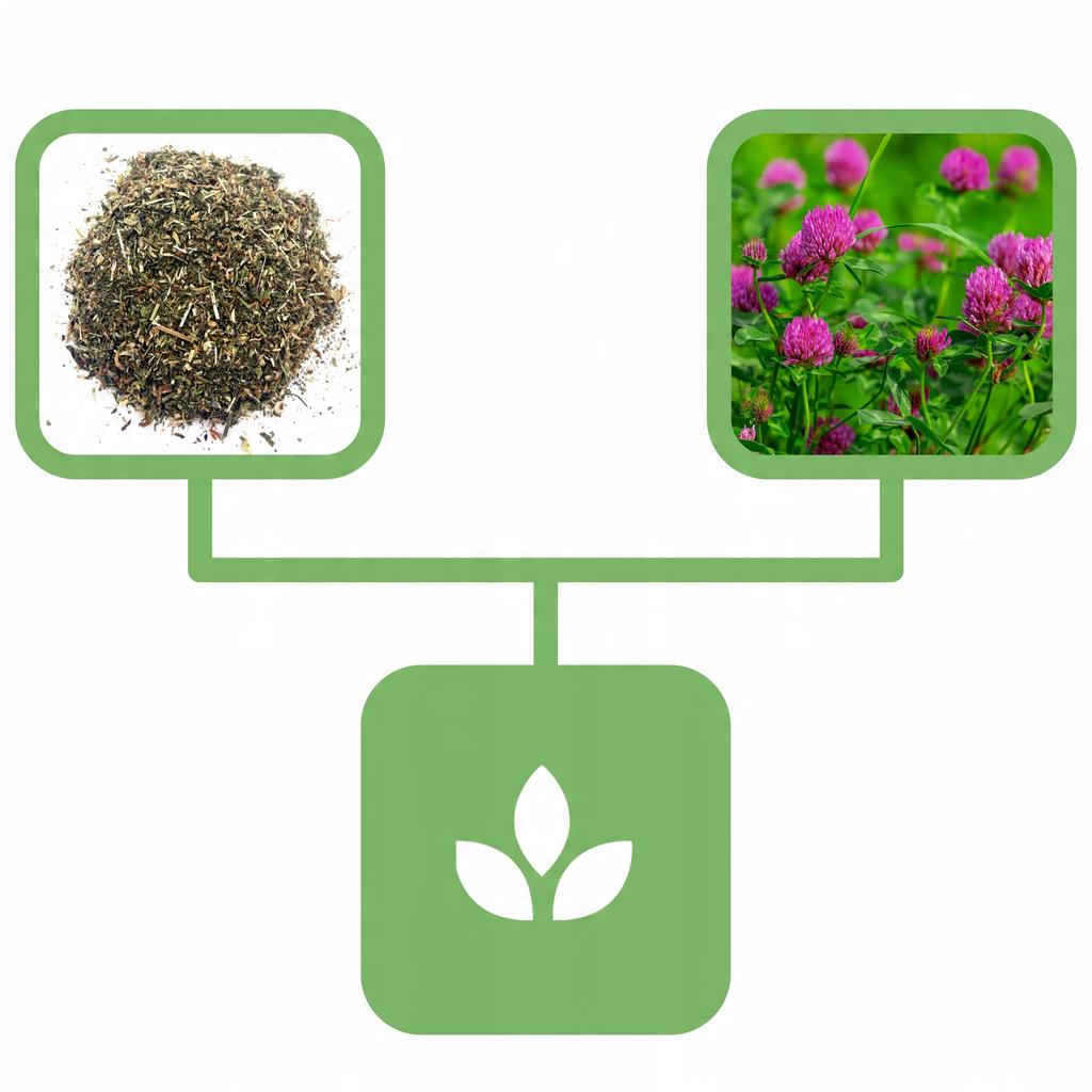 Klee Kraut 1 kg Natur-Shop