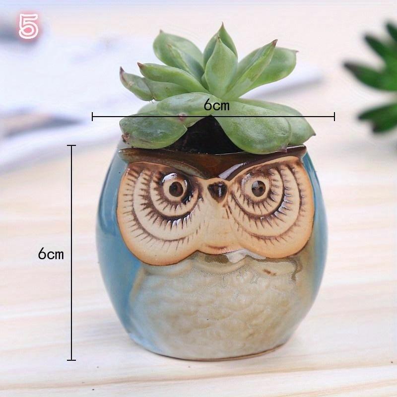 1Pc Personality Succulents Flower Pot Owl Animal Small Flower Pot Creative Cute Thumb Pot Ceramic Hole